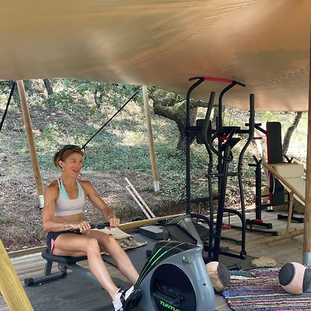 Lou Paradou Lodge Grillon エクステリア 写真