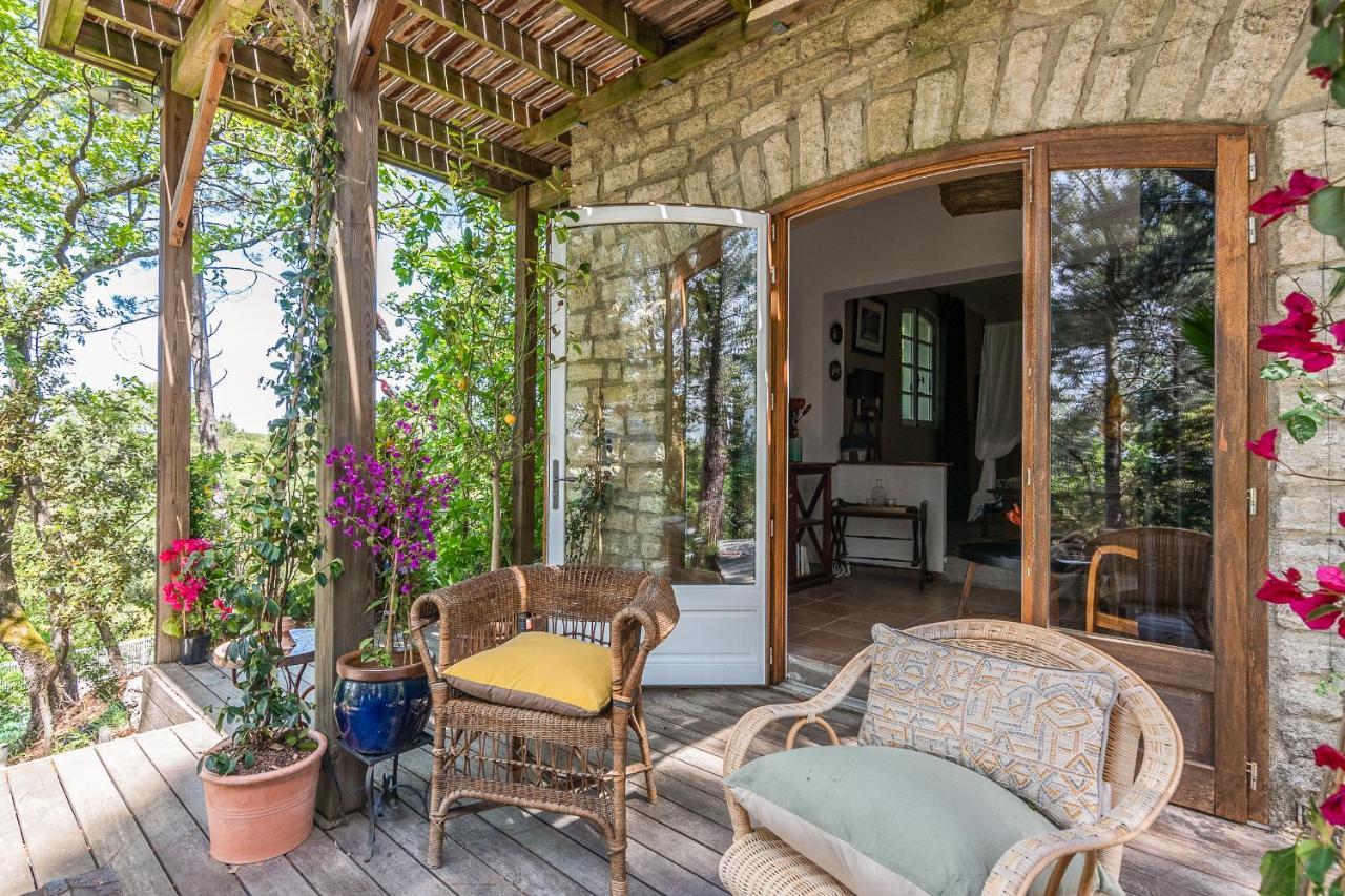 Lou Paradou Lodge Grillon エクステリア 写真